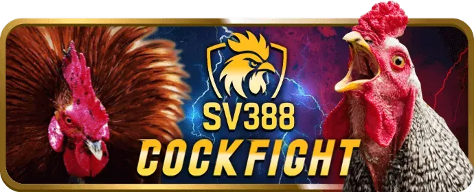 Hình ảnh minh họa cookie kỹ thuật số và bảo vệ dữ liệu của sv88tv